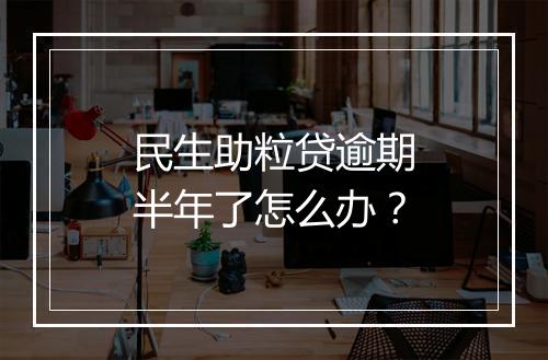 民生助粒贷逾期半年了怎么办?