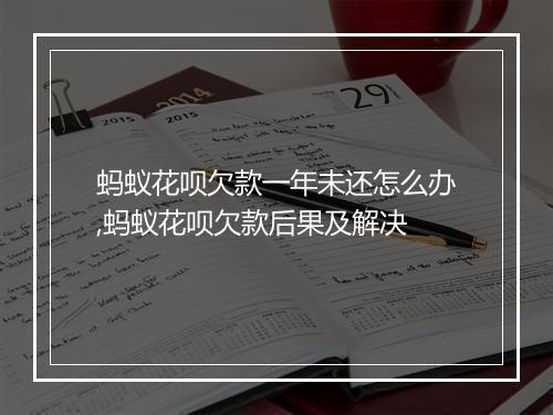 蚂蚁花呗欠款一年未还怎么办,蚂蚁花呗欠款后果及解决