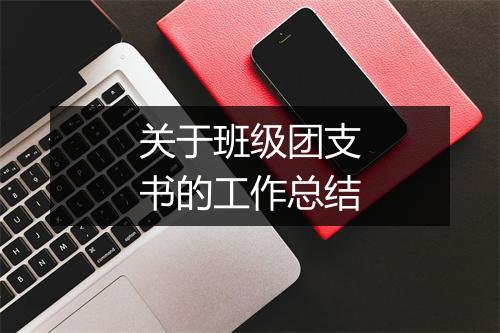 关于班级团支书的工作总结