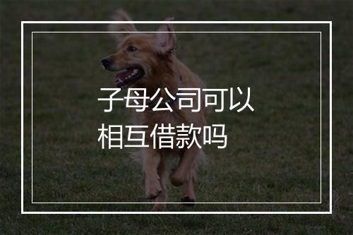 子母公司可以相互借款吗