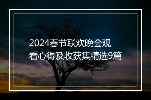 2024春节联欢晚会观看心得及收获集精选9篇