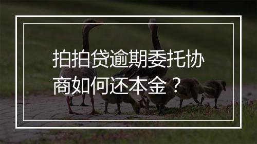 拍拍贷逾期委托协商如何还本金?