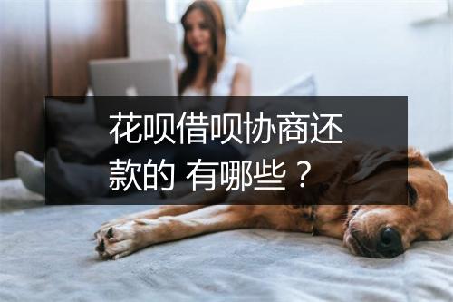 花呗借呗协商还款的 有哪些?