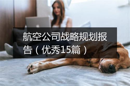航空公司战略规划报告(优秀15篇)