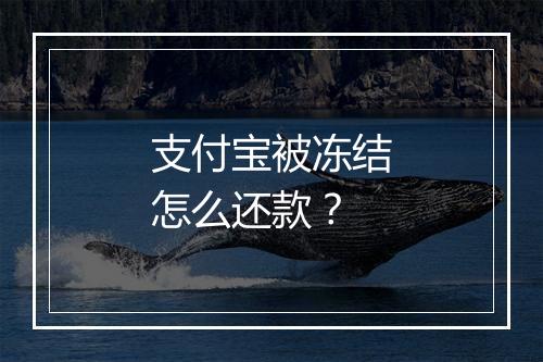 支付宝被冻结怎么还款?