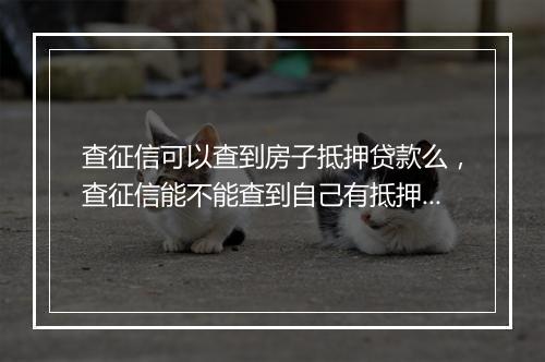 查征信可以查到房子抵押贷款么,查征信能不能查到自己有抵押过房子的