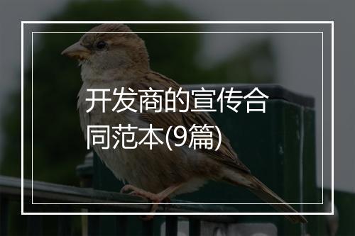 开发商的宣传合同范本(9篇)