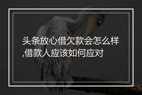 头条放心借欠款会怎么样,借款人应该如何应对