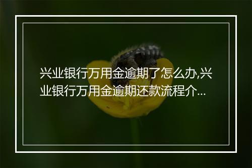 兴业银行万用金逾期了怎么办,兴业银行万用金逾期还款流程介绍