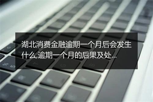 湖北消费金融逾期一个月后会发生什么,逾期一个月的后果及处理