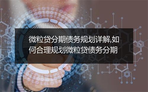 微粒贷分期债务规划详解,如何合理规划微粒贷债务分期