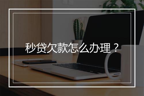 秒贷欠款怎么办理?