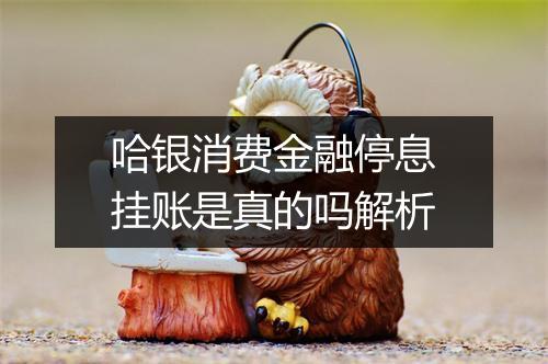 哈银消费金融停息挂账是真的吗解析