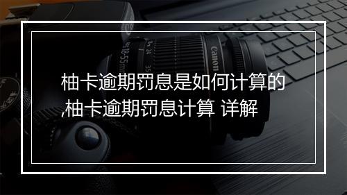 柚卡逾期罚息是如何计算的,柚卡逾期罚息计算 详解