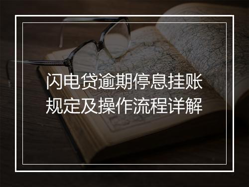 闪电贷逾期停息挂账规定及操作流程详解