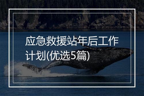 应急救援站年后工作计划(优选5篇)