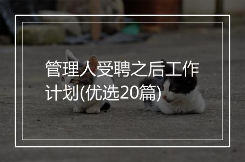 管理人受聘之后工作计划(优选20篇)