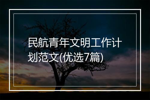 民航青年文明工作计划范文(优选7篇)