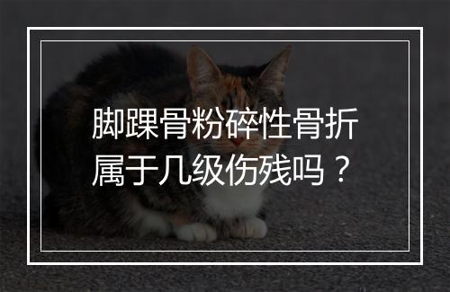 脚踝骨粉碎性骨折属于几级伤残吗?