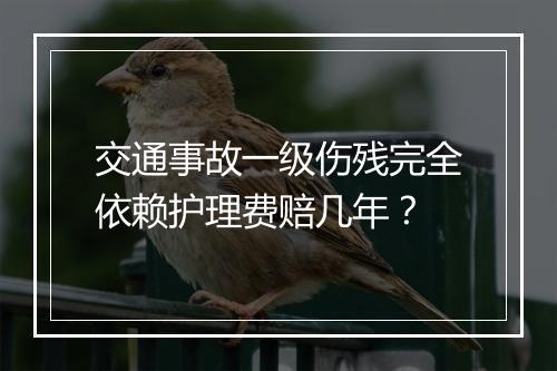 交通事故一级伤残完全依赖护理费赔几年?