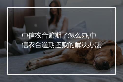 中信农合逾期了怎么办,中信农合逾期还款的解决办法