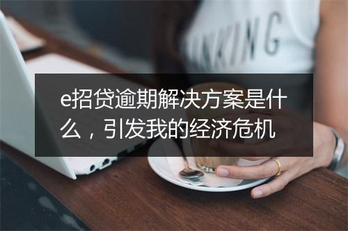 e招贷逾期解决方案是什么,引发我的经济危机