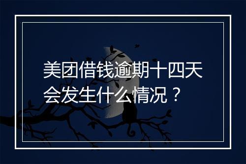 美团借钱逾期十四天会发生什么情况?