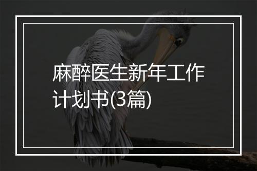 麻醉医生新年工作计划书(3篇)