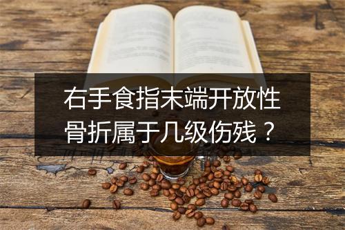 右手食指末端开放性骨折属于几级伤残?