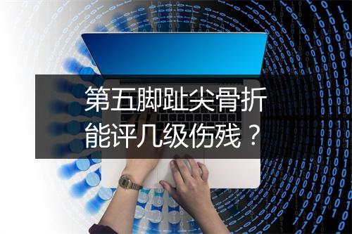 第五脚趾尖骨折能评几级伤残?