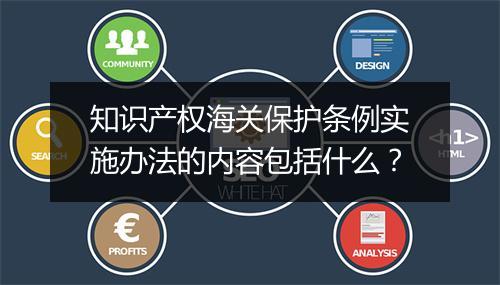 知识产权海关保护条例实施办法的内容包括什么?