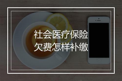 社会医疗保险欠费怎样补缴
