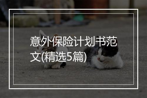 意外保险计划书范文(精选5篇)