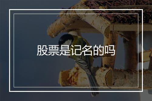 股票是记名的吗