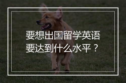 要想出国留学英语要达到什么水平?