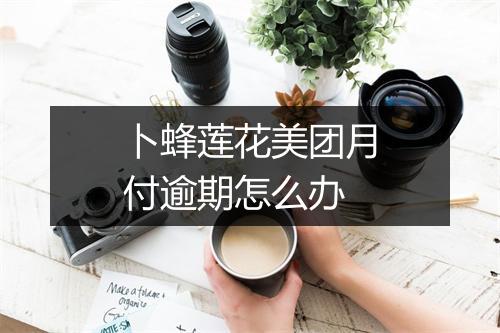 卜蜂莲花美团月付逾期怎么办