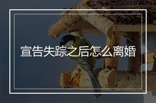 宣告失踪之后怎么离婚