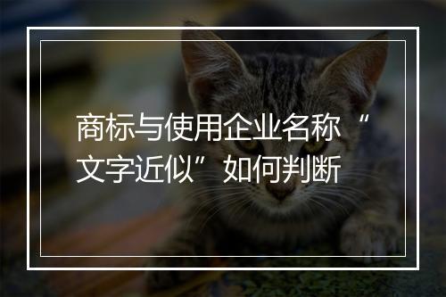 商标与使用企业名称“文字近似”如何判断