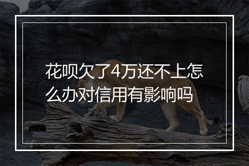 花呗欠了4万还不上怎么办对信用有影响吗