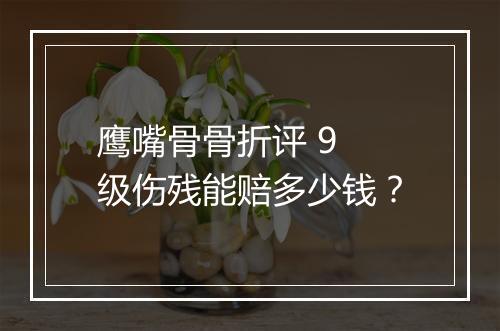 鹰嘴骨骨折评 9 级伤残能赔多少钱?