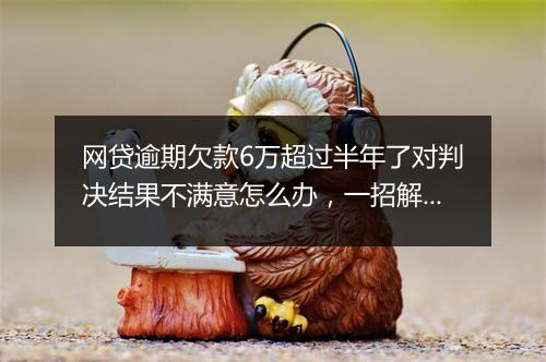 网贷逾期欠款6万超过半年了对判决结果不满意怎么办,一招解决