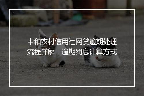中和农村信用社网贷逾期处理流程详解,逾期罚息计算方式