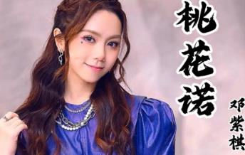 桃花诺歌词完整版 桃花诺歌词表达的意思介绍