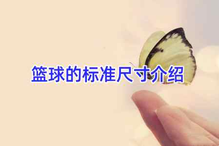 篮球的标准尺寸介绍