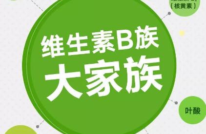 维生素B的作用有哪些 维生素b有什么功效