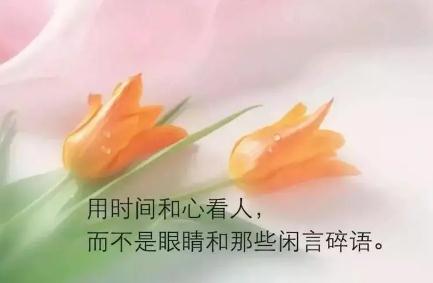 看透社会现实的句子汇集123句