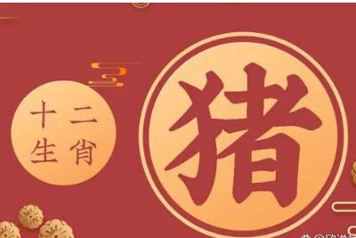 猪年是哪几年? 今年属猪的多大了?