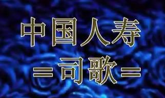 中国人寿司歌歌词