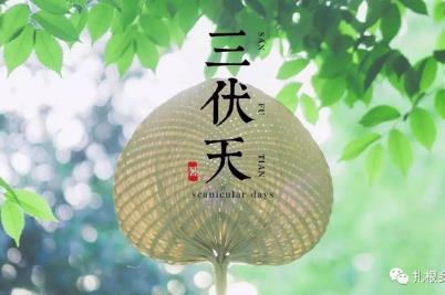 三伏天是几月几号2023？今年三伏天时间表2023最细消息
