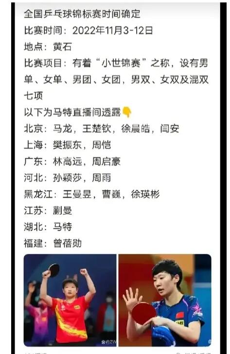 樊振东
